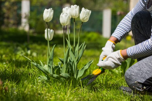 Landscaping team preparing a garden service quotation and booking