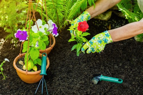 Terrace and courtyard landscaping ideas for homes and businesses in Spitalfields