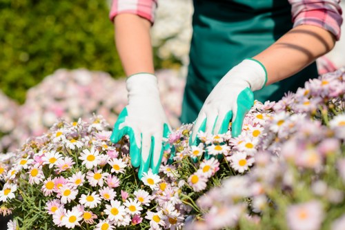 Local hard landscaping work for residential and commercial properties in Spitalfields