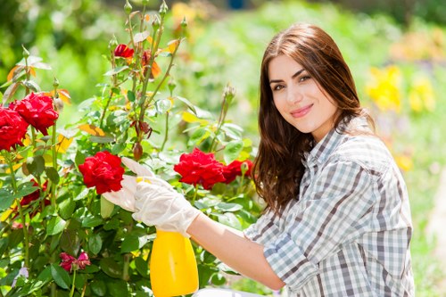 Safe and professional landscaping operations in Spitalfields