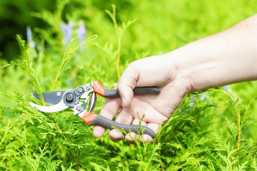 Annual review of modern slavery safeguards in Landscaping Spitalfields