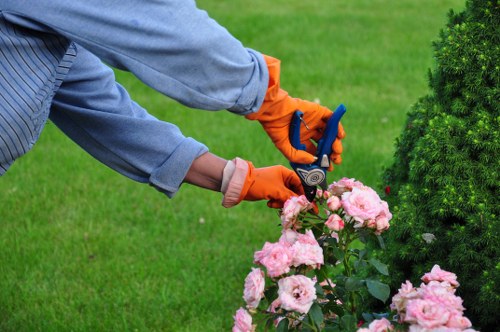 Landscaping service team assessing site conditions before starting work