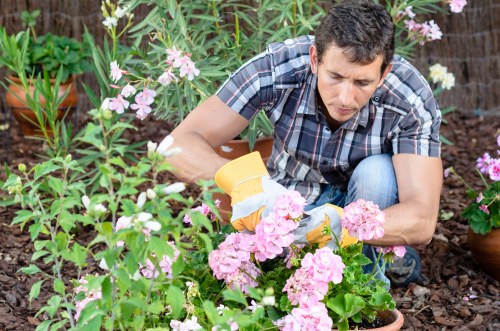 Modern planting and hard landscaping suitable for Spitalfields properties